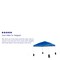 Emma and Oliver Ukko 10'x10' Weather Resistant, UV Coated Pop Up Canopy Tent with Sandbags and Wheeled Case